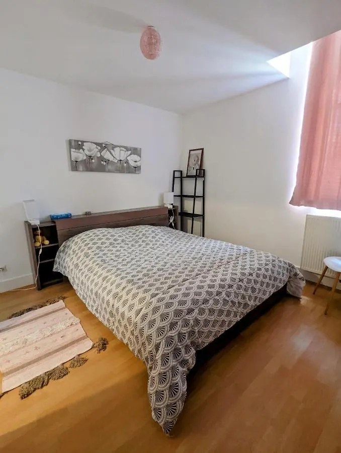 Apartment Auch 3 Chambres,120 M2 Au Calme Et En Ville !!!
